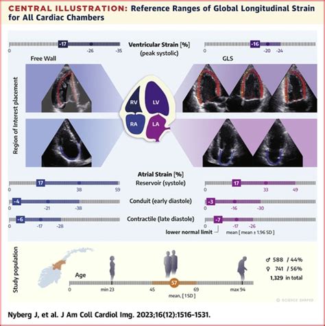 Normalized Echocardiographic Values From Guideline .